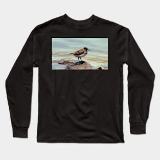 A Least Sandpiper Along a Shore Long Sleeve T-Shirt